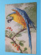 Delcampe - Lot De 3 >> Birds - Vogels - Oiseaux - Aves - Vögel ( Edit.: N° 119 - 120 - 324 ) Anno 19?? ( Zie/voir Foto 's ) ! - Birds