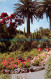 R074491 Tresco Gardens. Scilly. F. E. Gibson - World
