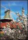 Ansichtskarte  Windmühle Im Twielenfleth Altes Land 1987 - Zonder Classificatie