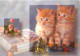 Animaux - Chats - Chatons - CPM - Voir Scans Recto-Verso - Gatos