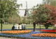 Pays-Bas - Nederland - Lisse - Keukenhof - Fleurs - CPM - Voir Scans Recto-Verso - Lisse