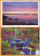 2013, 2014, Stamps Used , Postcards, To Moldova, Postcrossing, Germany, Nature, Flowers - Moldova