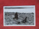 Fur Seals, Pribilof Islands In The Bering Sea, Alaska   Ref 6407 - Fish & Shellfish