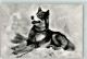 39742208 - Polarhund Jungfraujoch Verlag Wehrli Nr.3240 - Hunde