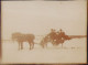 Horse Drawn Sled Ca 1920s Photo P1337 - Personnes Anonymes