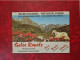 Carte PUB GELEE ROYALE CENTRE APICOLE DES PYRENEES SERVICE REGIONAL WESTHOFFEN  PUB BILINGUE - Advertising