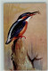 13021808 - Voegel Nr. 2 Eisvogel - Sign - Birds