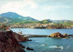 66-BANYULS-N°3808-C/0053 - Banyuls Sur Mer