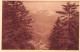 65-CAUTERETS-N°3810-E/0039 - Cauterets