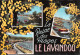 83-LE LAVANDOU-N°3812-A/0217 - Le Lavandou