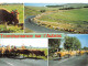 12-TRANSHUMANCE SUR L AUBRAC-N°3813-A/0251 - Autres & Non Classés