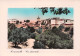 83-RAMATUELLE-N°3815-A/0389 - Ramatuelle