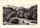 63-LE MONT DORE-N°3817-A/0081 - Le Mont Dore