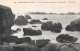 29-BRIGNOGAN-N°3816-E/0283 - Brignogan-Plage