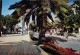 83-HYERES LES PALMIERS-N°3816-D/0365 - Hyeres