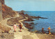 66-COLLIOURE-N°3816-D/0171 - Collioure