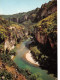 48-GORGES DU TARN-N°3818-B/0381 - Gorges Du Tarn