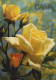 FLOWERS Vintage Ansichtskarte Postkarte CPSM #PAS021.DE - Fleurs