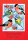 VOGEL Tier Vintage Ansichtskarte Postkarte CPSM #PAM850.DE - Birds