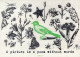 PÁJARO Vintage Tarjeta Postal CPSMPF #PKG961.ES - Birds