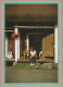 NIÑOS NIÑOS Escena S Paisajes Vintage Tarjeta Postal CPSM #PBT296.ES - Escenas & Paisajes