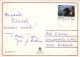 PASCUA POLLO HUEVO Vintage Tarjeta Postal CPSM #PBO774.ES - Pascua