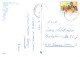 FLORES Vintage Tarjeta Postal CPSM #PAS019.ES - Fleurs