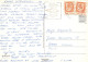 MONO Animales Vintage Tarjeta Postal CPSM #PAN995.ES - Scimmie