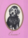 PERRO Animales Vintage Tarjeta Postal CPSM #PAN933.ES - Chiens