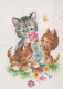 GATO GATITO Animales Vintage Tarjeta Postal CPSM #PAM281.ES - Cats