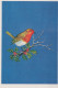 PÁJARO Animales Vintage Tarjeta Postal CPSM #PAM662.ES - Vögel
