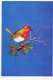 PÁJARO Animales Vintage Tarjeta Postal CPSM #PAM662.ES - Birds