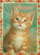 GATO GATITO Animales Vintage Tarjeta Postal CPSM #PAM097.ES - Katzen