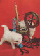 GATO GATITO Animales Vintage Tarjeta Postal CPSM #PAM597.ES - Chats