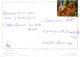 GATO GATITO Animales Vintage Tarjeta Postal CPSM #PAM220.ES - Chats