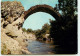 SAINT JEAN DU GARD  Le Pont Des Chèvres à L'estrechure RR 1278 - Saint-Jean-du-Gard