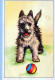 CHIEN Animaux Vintage Carte Postale CPA #PKE788.FR - Chiens