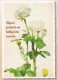 FLEURS Vintage Carte Postale CPSM #PBZ247.FR - Flowers