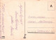 OISEAU Animaux Vintage Carte Postale CPSM #PBR601.FR - Oiseaux