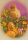 PÂQUES POULET ŒUF Vintage Carte Postale CPSM #PBP155.FR - Pâques