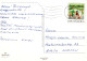 CHIEN Animaux Vintage Carte Postale CPSM #PAN863.FR - Honden