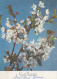 FLEURS Vintage Carte Postale CPSM #PAR057.FR - Flowers