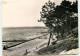 ARCACHON Plage Des Abatilles  RR 1282 - Arcachon