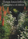 FLOWERS Vintage Postcard CPSM #PBZ909.GB - Flowers