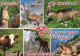 DEER Animals Vintage Postcard CPSM #PBS514.GB - Autres & Non Classés