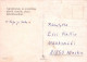 RABBIT Animals Vintage Postcard CPSM #PBR075.GB - Andere & Zonder Classificatie