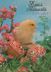 EASTER CHICKEN EGG Vintage Postcard CPSM #PBP153.GB - Pasen