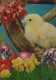 EASTER CHICKEN EGG Vintage Postcard CPSM #PBP030.GB - Ostern