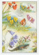 Maximum Card Czech Republic 2005 Butterfly - Salamander - Autres & Non Classés