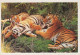 DOG AND CAT Animals Vintage Postcard CPSM Unposted #PAM032.GB - Cani